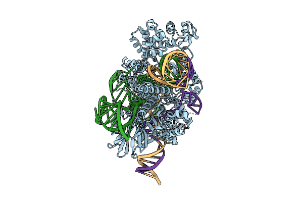 9MB7 image