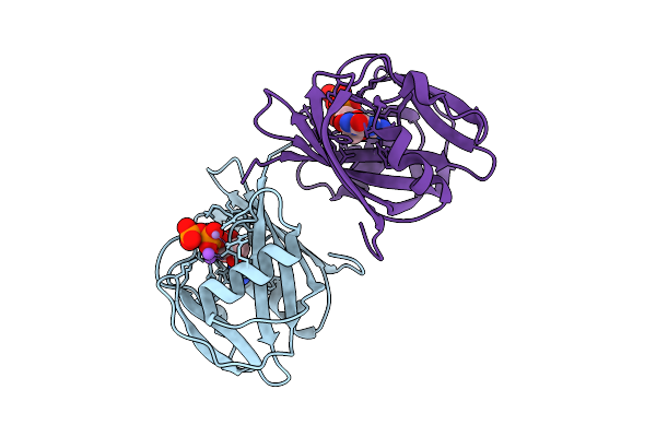 9MBH image