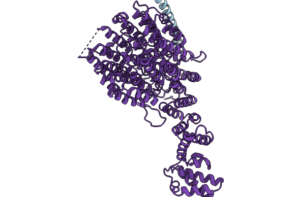9MBO image