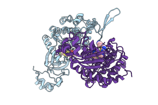 9MC0 image