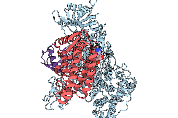 9MC6 image