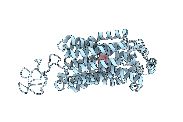 9MC8 image