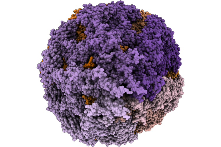 9MCG image