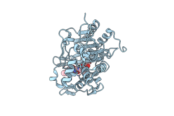 9MD0 image