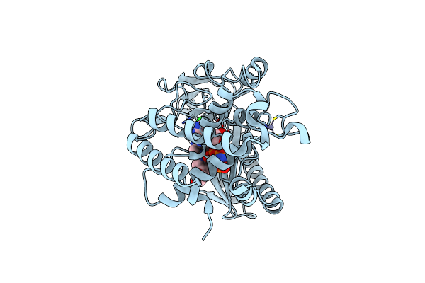 9MDC image