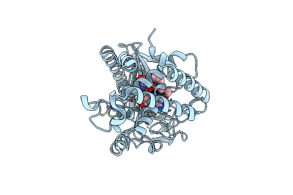 9MDD image