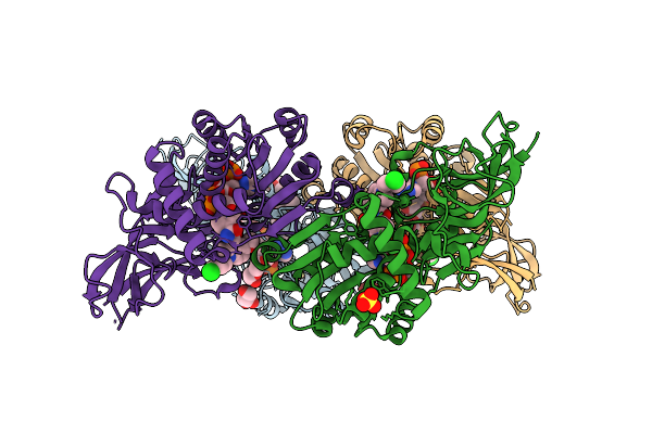 9MDH image
