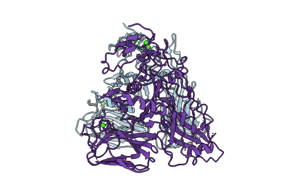 9MDI image
