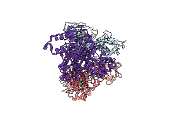 9MDJ image