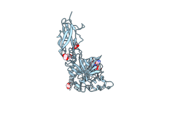9MDK image