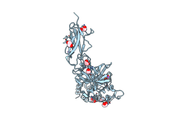 9MDM image
