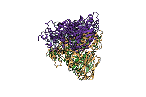 9MDP image