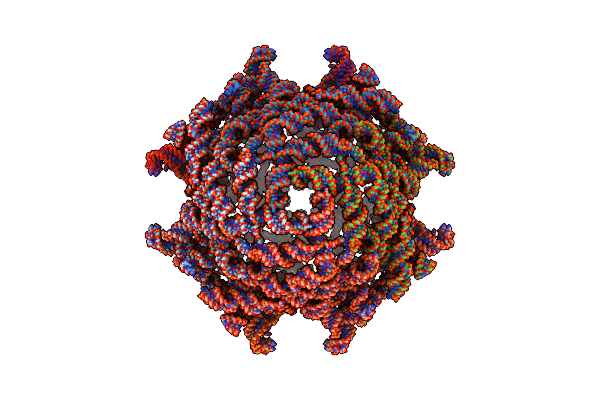 9MDS image