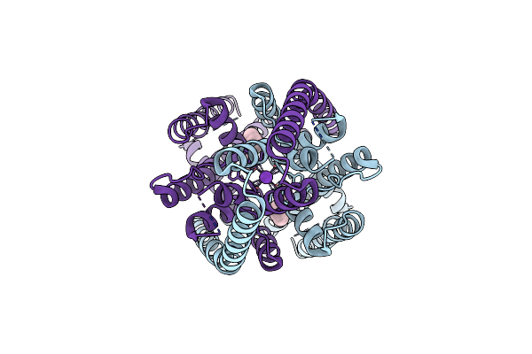 9MEK image