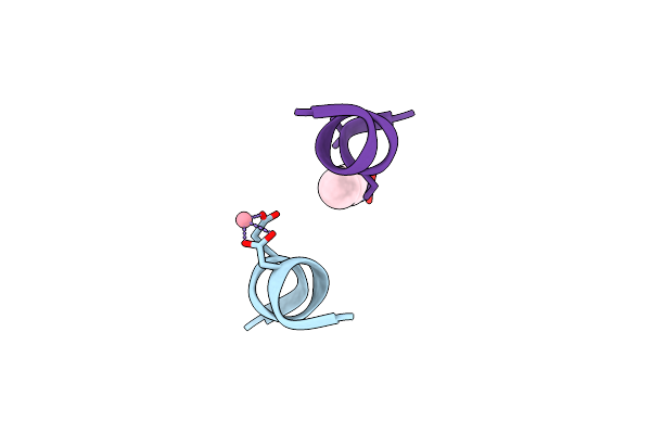9MEO image