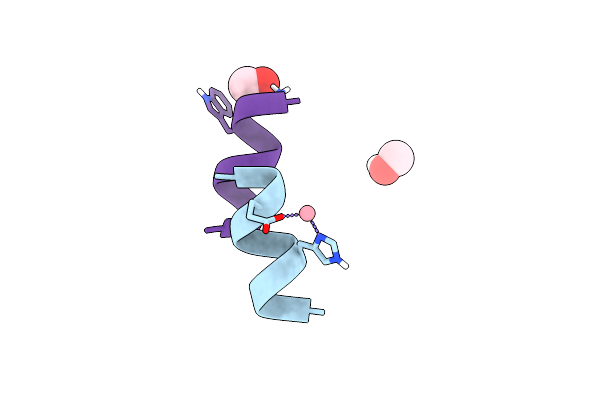 9MEP image