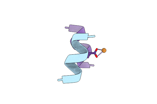 9MFI image