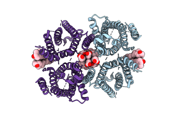 9MFL image