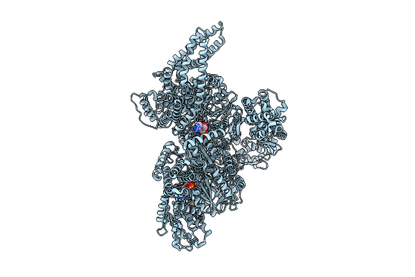 9MFV image