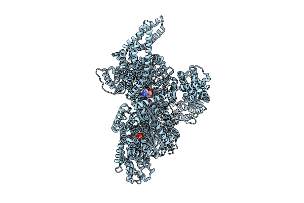 9MFX image