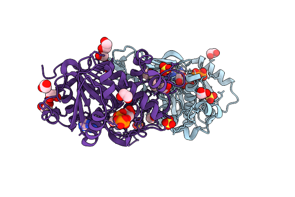 9MG1 image