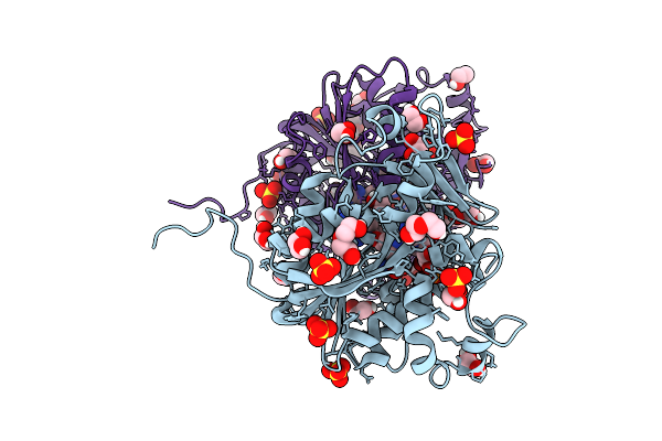 9MG5 image