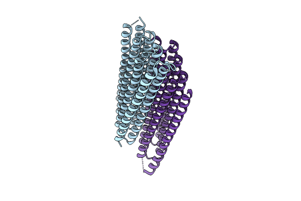 9MG8 image
