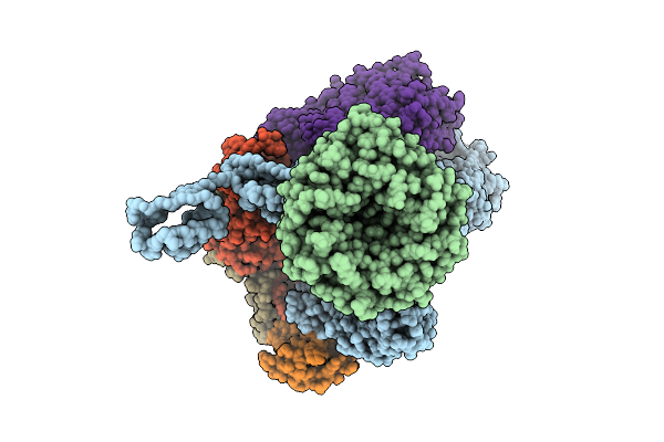 9MGG image