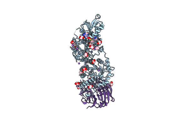 9MGP image