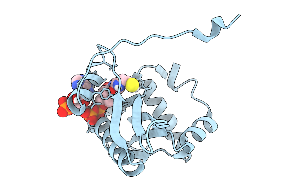 9MGU image