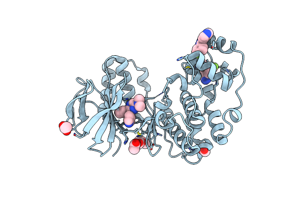 9MHB image