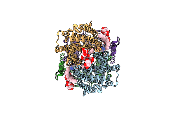 9MHD image
