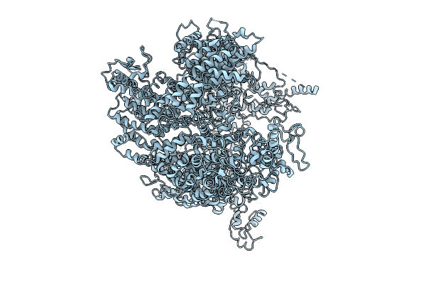 9MHP image