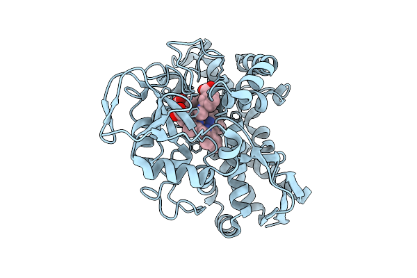 9MIM image