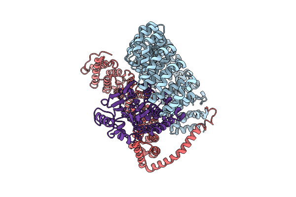 9MIP image
