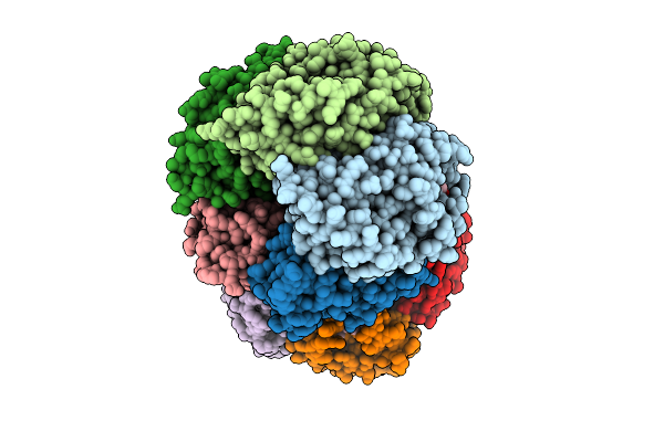 9MIQ image