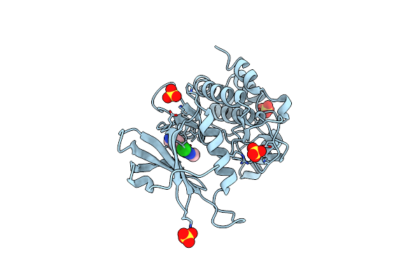 9MIU image
