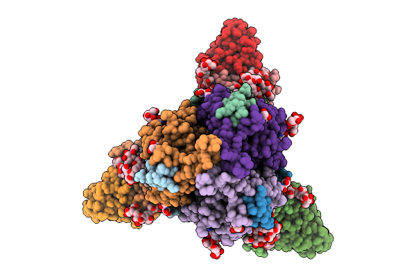 9MIV image