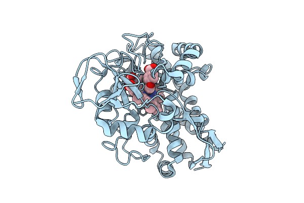 9MJK image
