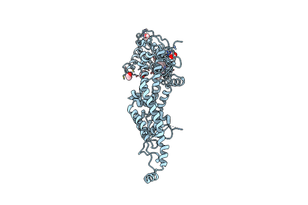 9MJM image