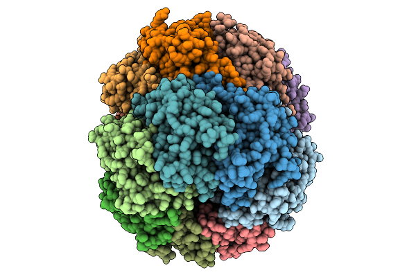 9MK5 image