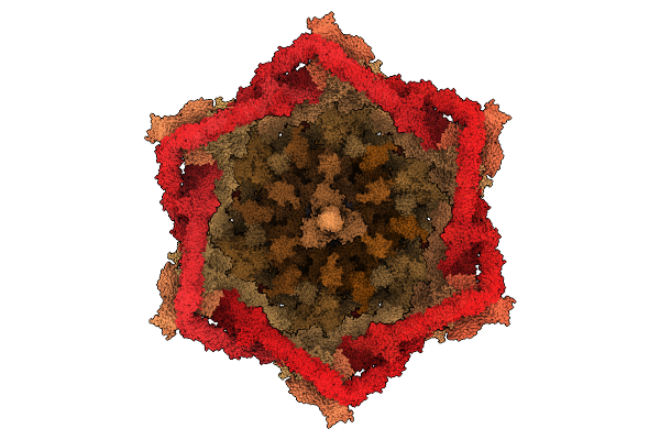 9MKB image