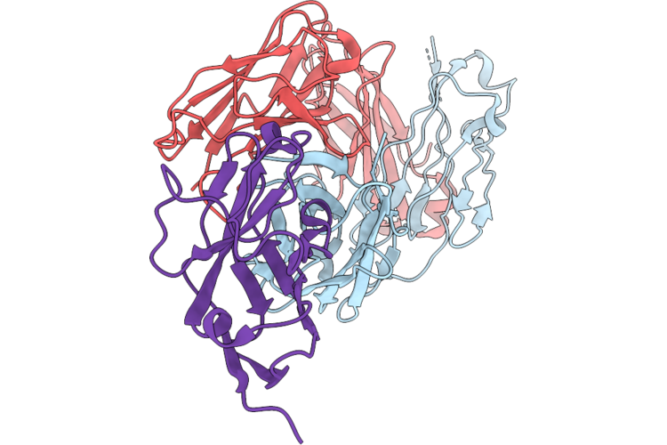 9MKG image