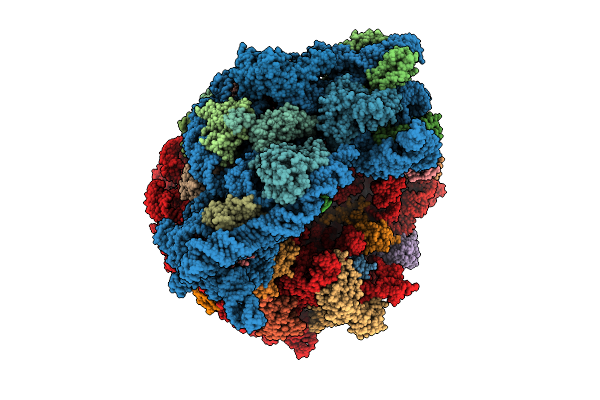 9MKK image