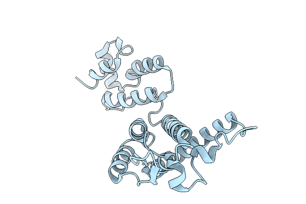 9MKP image