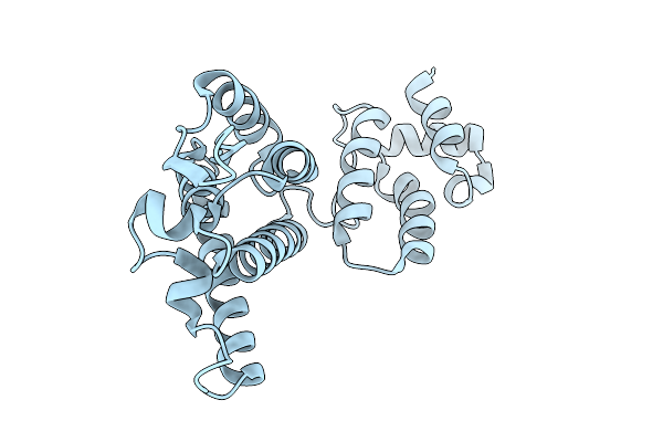 9MKQ image