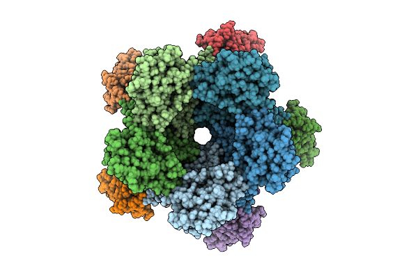 9ML1 image