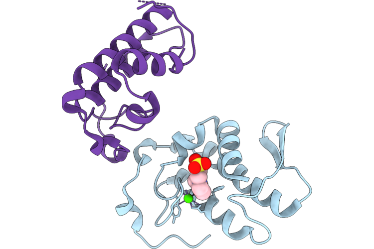 9MLE image