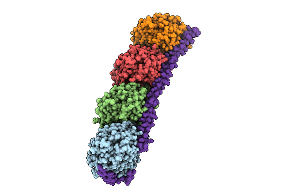 9MLF image