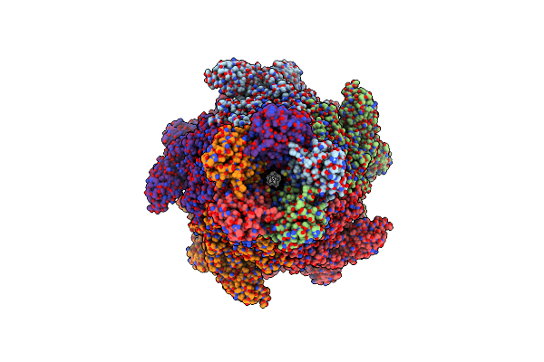 9MLH image